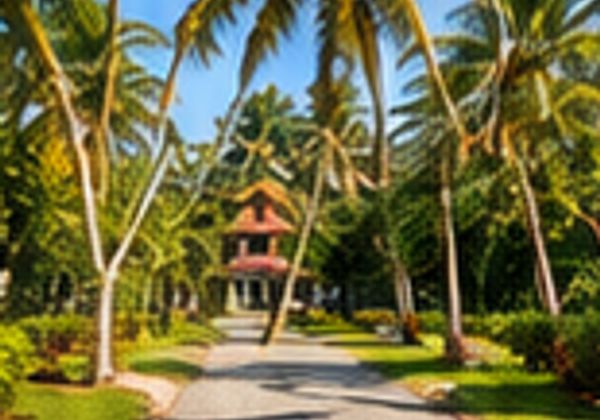 Palm-lined walkway leading to traditional heritage villa at Kainakary