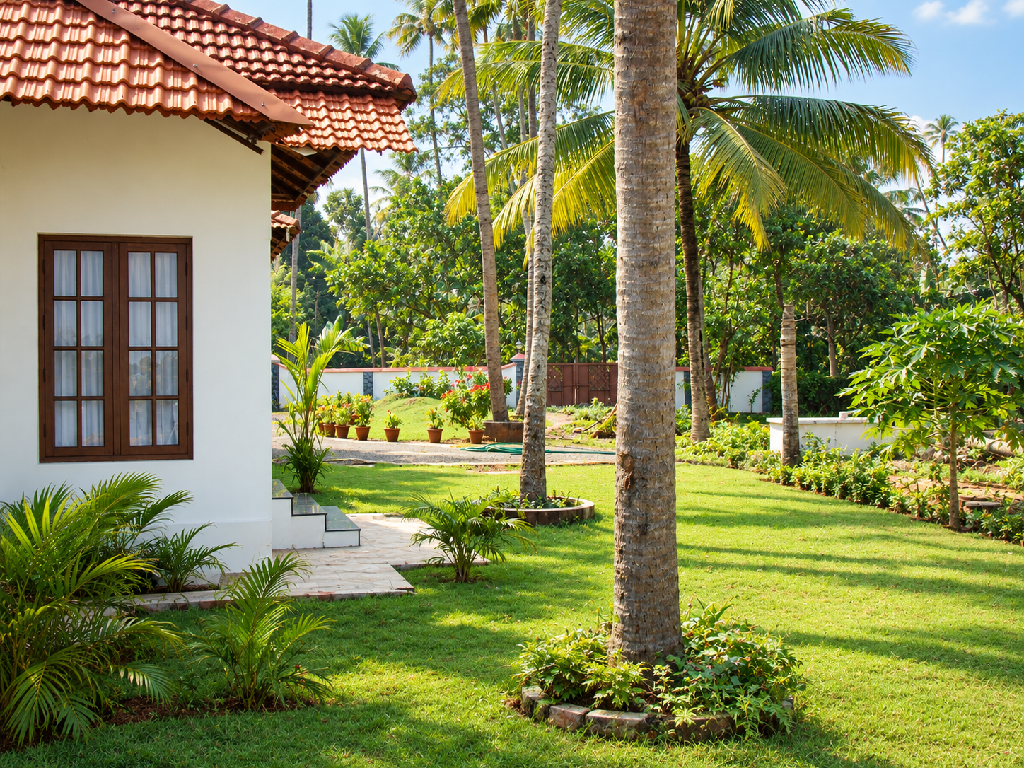 Sunlit tropical courtyard garden and coconut palms at Puthanangadi